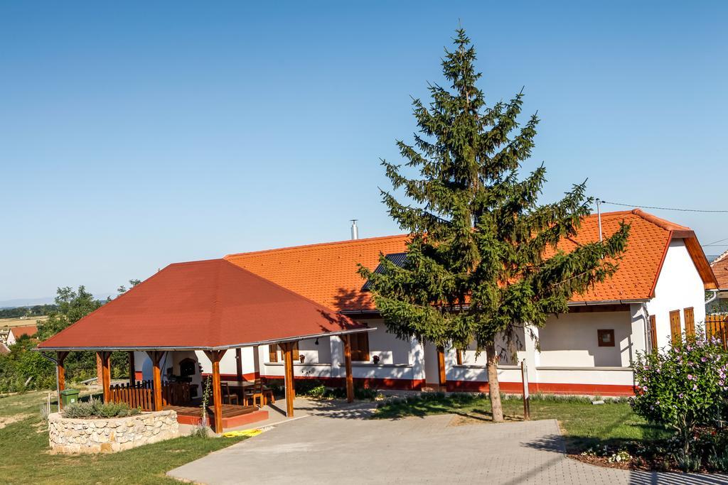 Katica Vendeghaz Hotel Tarcal Luaran gambar